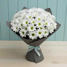 Букет цветов из:  Хризантемы #REPLACE_PRED# Казачка