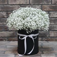 Цветочная композиция из Гипсофила в шляпной коробке в Казачка